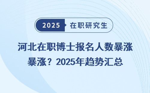 河北在职博士报名人数暴涨？2025年趋势汇总
