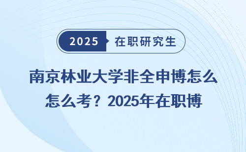 南京林业大学非全申博怎么考？2025年在职博士报考门道