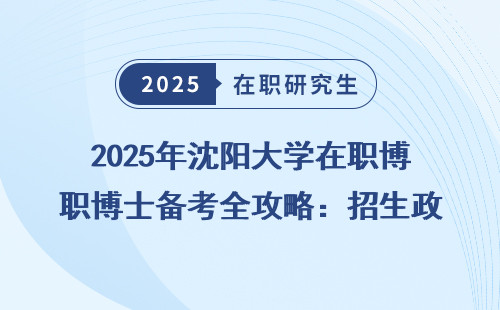 2025年沈阳大学在职博士备考全攻略：招生政策与备考建议