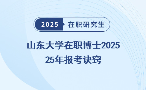山东大学在职博士2025年报考诀窍