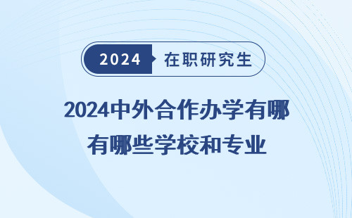 2024中外合作办学有哪些学校和专业 有关 目录 可选