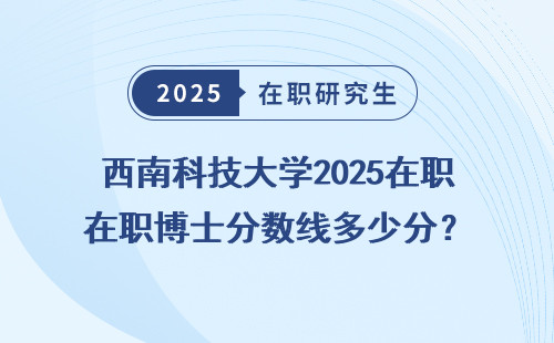 西南科技大学2025在职博士分数线多少分？