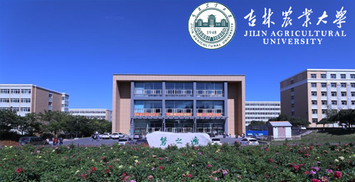 吉林农业大学校园图片