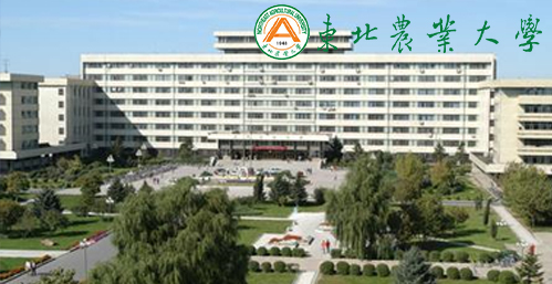 东北农业大学校园图片