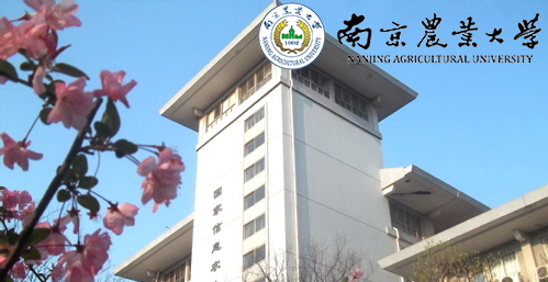 南京农业大学校园图片