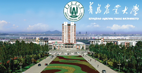 青岛农业大学校园图片