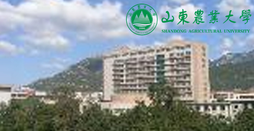 山东农业大学校园图片